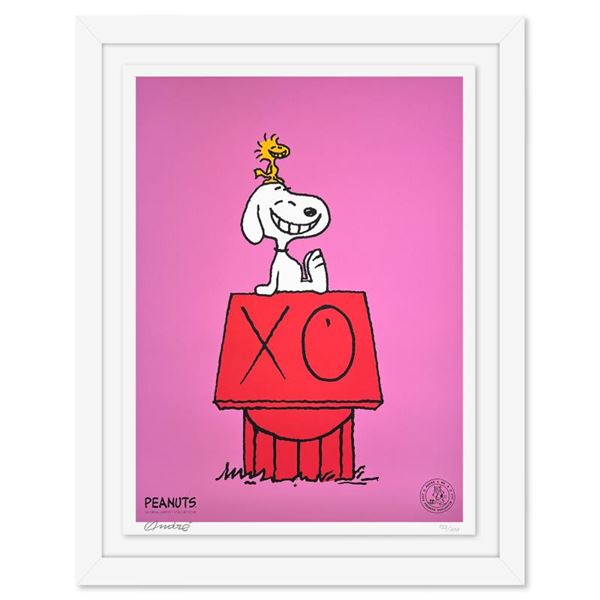 Snoopy & Woodstock on Red House (Pink) by Mr. Andre