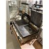 Image 4 : Commercial Electric Large Panini Grill