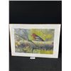 Image 1 : Limited Edition Woodpecker Print By J.Ferrante