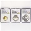 Image 1 : 2022 Negro Leagues Proof Set (3) NGC PF UC