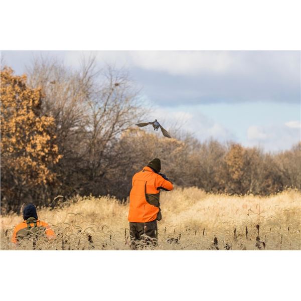 HERITAGE 1865: 2-Day/3-Night Premium Upland Bird Hunt for Two Hunters in Iowa