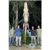 Image 10 : GOD'S COUNTRY: 2-Day/3-Night American Alligator Hunt for Two Hunters in Florida