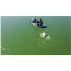 Image 14 : GOD'S COUNTRY: 2-Day/3-Night American Alligator Hunt for Two Hunters in Florida