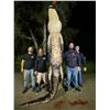 Image 8 : GOD'S COUNTRY: 2-Day/3-Night American Alligator Hunt for Two Hunters in Florida