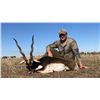 Image 2 : ARGENTINA-SPAIN: 4-Day Blackbuck Hunt for Three Hunters in Argentina
