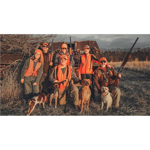 HARPOLE'S: 2-Day/3-Night Pheasant and Quail Hunt for Two Hunters and Two Non-Hunters in Illinois