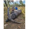 Image 2 : GREG PENNICOTT: 5-Day/6-Night Water Buffalo Hunt for One Hunter in Northern Territory, Australia