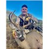 Image 2 : PUERTA LAS HAYAS: 4-Day Whitetail and Wild Turkey Hunt for One Hunter and One Non-Hunter in Mexico
