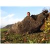 Image 2 : PORTUGAL HUNTING: 5-Day Wild Boar Hunt for One Hunter in Portugal