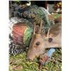 Image 2 : YUKKUTZ: 4-Day Brocket Deer-Ocellated Turkey Hunt for One Hunter and One Non-Hunter in Mexico