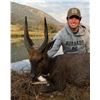 Image 2 : CRUSADER SAFARIS: 8-Day/9-Night Plains Game Safari for One Hunter and One Non-Hunter in South Africa