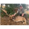 Image 2 : TROPHY TRAILS: 5-Day Big Game Hunt for Two Hunters and Two Non-Hunters in Spain