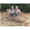 Image 2 : ORIGINAL KANSAS TROPHY: 5-Day Whitetail Deer Hunt for One Hunter in Kansas