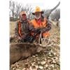 Image 3 : ORIGINAL KANSAS TROPHY: 5-Day Whitetail Deer Hunt for One Hunter in Kansas