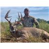 Image 4 : ORIGINAL KANSAS TROPHY: 5-Day Whitetail Deer Hunt for One Hunter in Kansas