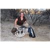 Image 2 : OTJANDAUE: 7-Day Plains Game Safari for One Hunter and One Non-Hunter in Namibia