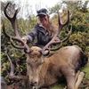 Image 2 : PORONUI: 4-Day/5-Night Big Game Hunt for Two Hunters in New Zealand