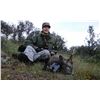 Image 2 : CAZATUR: 5-Day/4-Night European Roe Deer Hunt for One Hunter and One Non-Hunter in Spain
