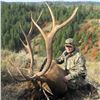 Image 3 : WHITE PEAKS: 3-Day/3-Night Rocky Mountain Elk Hunt for One Hunter and One Non-Hunter in Idaho