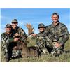 Image 2 : NEWZEALANDHUNTING: 4-Day/3-Night Fallow Deer and Feral Goat Hunt for Two Hunters in New Zealand