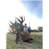 Image 2 : TS BUENOS AIRES: 4-Day Red Stag Hunt for Two Hunters in La Pampa, Argentina