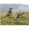 Image 2 : FERNANDO SAIZ: 4-Day/4-Night European Roe Deer Hunt for Two Hunters in Spain