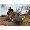 Image 2 : HUNTERS CREEK: 5-Day/4-Night Plains Game Safari for Four Hunters in South Africa