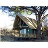 Image 2 : NDUMO: 12-Day/13-Night Trophy Elephant Hunt for One Hunter and One Non-Hunter in Namibia