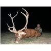 Image 1 : TGB OUTFITTERS: 7-Day/7-Night Free-Range Big Game Hunt for Four Hunters in La Pampa, Argentina