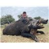 Image 2 : TGB OUTFITTERS: 7-Day/7-Night Free-Range Big Game Hunt for Four Hunters in La Pampa, Argentina