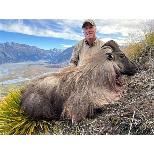 SOUTHERN MOUNTAIN: 6-Day/5-Night Tahr Hunt for Two Hunters in  New Zealand