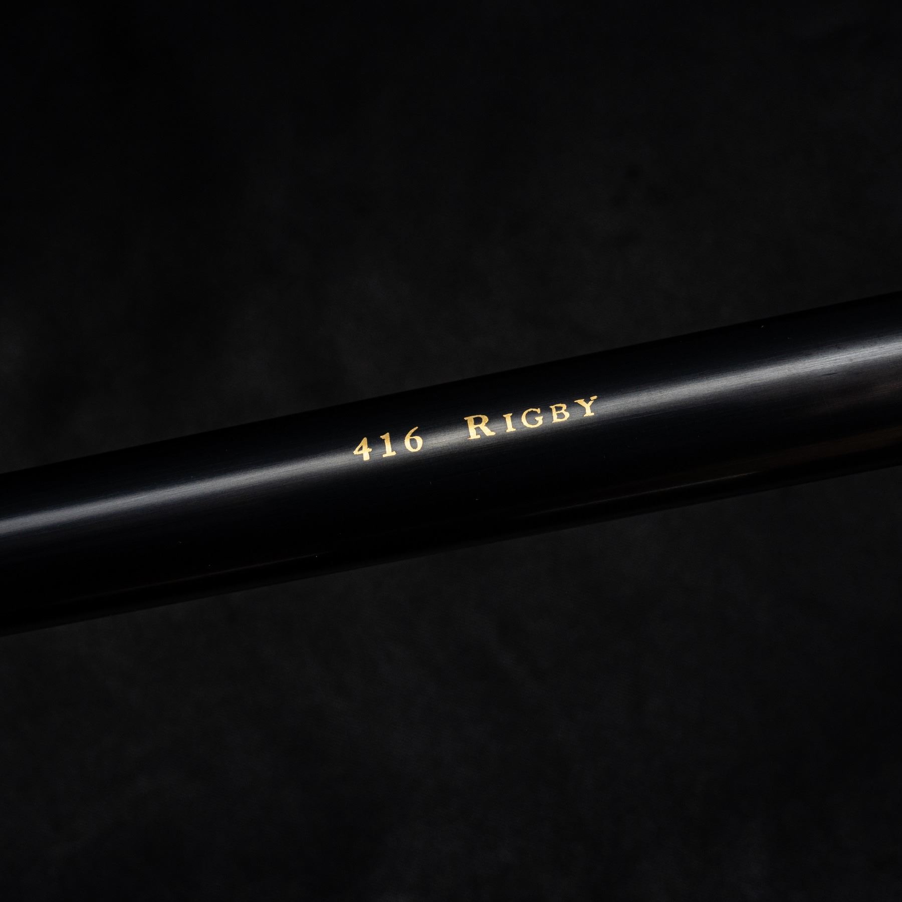 HEYM: 2024 DSC Convention Rifle - Heym USA Big Five Lion Bolt Action in ...