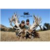 Image 2 : SPEY CREEK: 5-Day Red Stag Hunt for Two Hunters and Two Non-Hunters in New Zealand