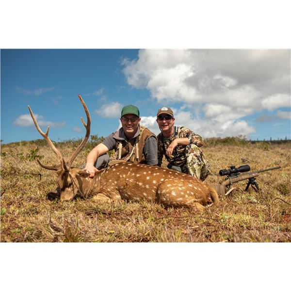 PINEAPPLE BROTHERS: 2-Day Axis Deer Hunt for One Hunter in Hawaii