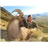 Image 1 : CHRIS BILKEY: 4-Day/3-Night Tahr Hunt for One Hunter in South Island, New Zealand