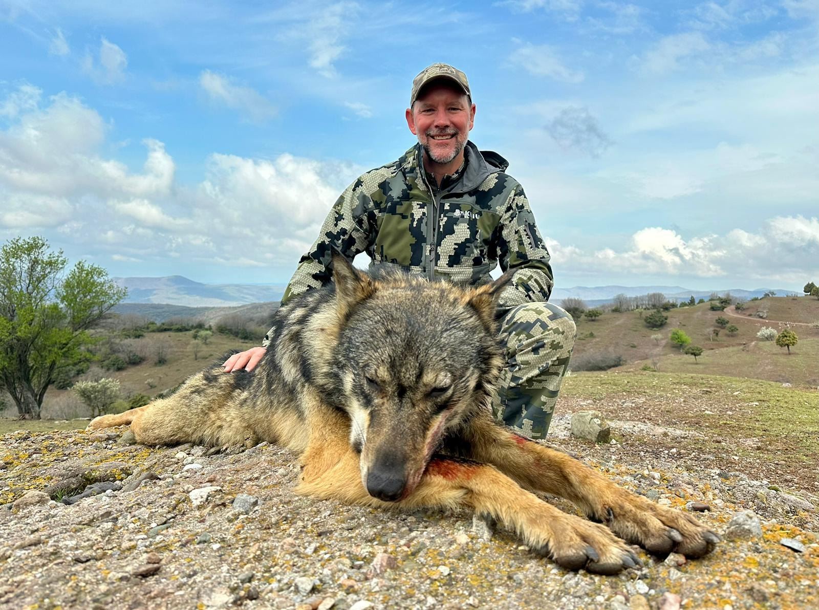 Hunting Wolves Predator SIM: 5-Day/5-Night Grey Wolf Hunt for One Hunter and One Non-Hunter in ...