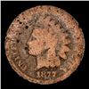 Image 2 : 1877 Indian Cent 1c Graded g4 By SEGS