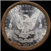 Image 3 : ***Auction Highlight*** 1879 & CC Uncirculated Morgan Dollar Shotgun Roll (fc)