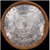 Image 3 : ***Auction Highlight*** 1889 & CC Uncirculated Morgan Dollar Shotgun Roll (fc)