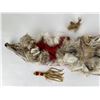 Image 2 : Plains Native American Indian Coyote Pelt