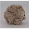 Image 1 : Alaskan Placer Gold in Quartz Specimen
