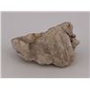 Image 4 : Alaskan Placer Gold in Quartz Specimen