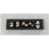 Image 1 : Grouping of Montana Elk Teeth