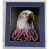 Image 1 : American Eagle Print
