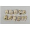Image 2 : Grouping of Montana Elk Teeth