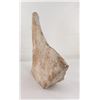 Image 3 : Alabaster Native American Indian Sculpture