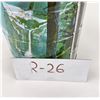 Image 8 : National Forest Pattern MJB Coffee Can
