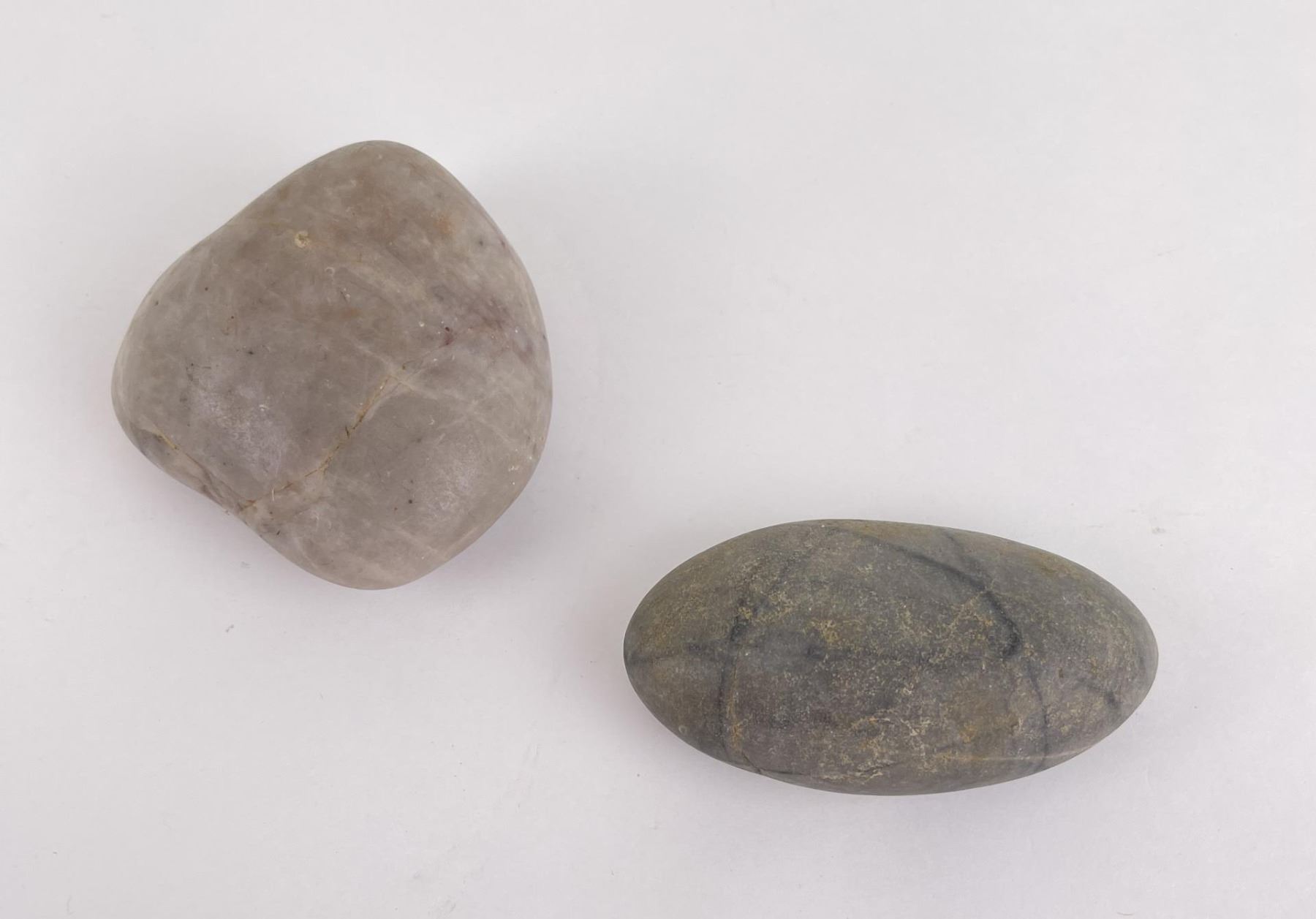 Pair of Dinosaur Gastrolith Stomach Stones