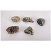 Image 1 : Group of Assorted Mineral Specimens