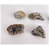 Image 2 : Group of Assorted Mineral Specimens